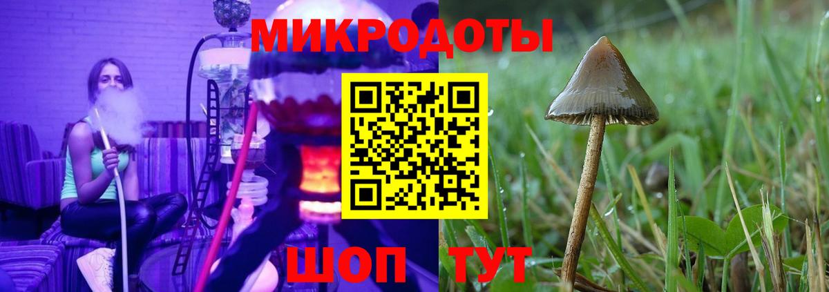 Галлюциногенные грибы MAGIC MUSHROOMS Можга